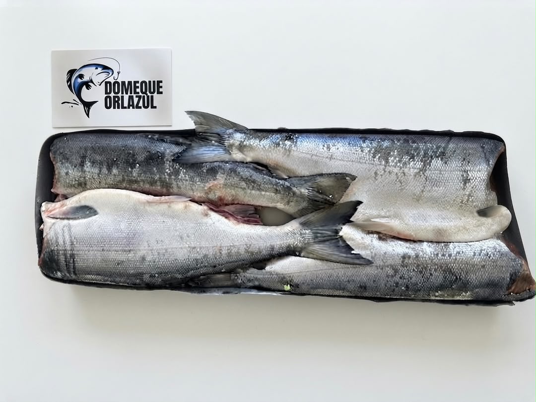 Wholesale Coho Salmon HG
